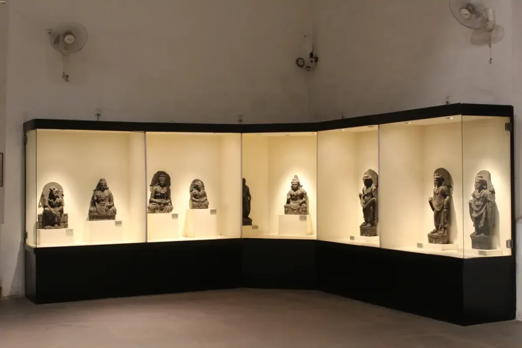 History of Indian Museum